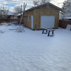 Shed & Remodel